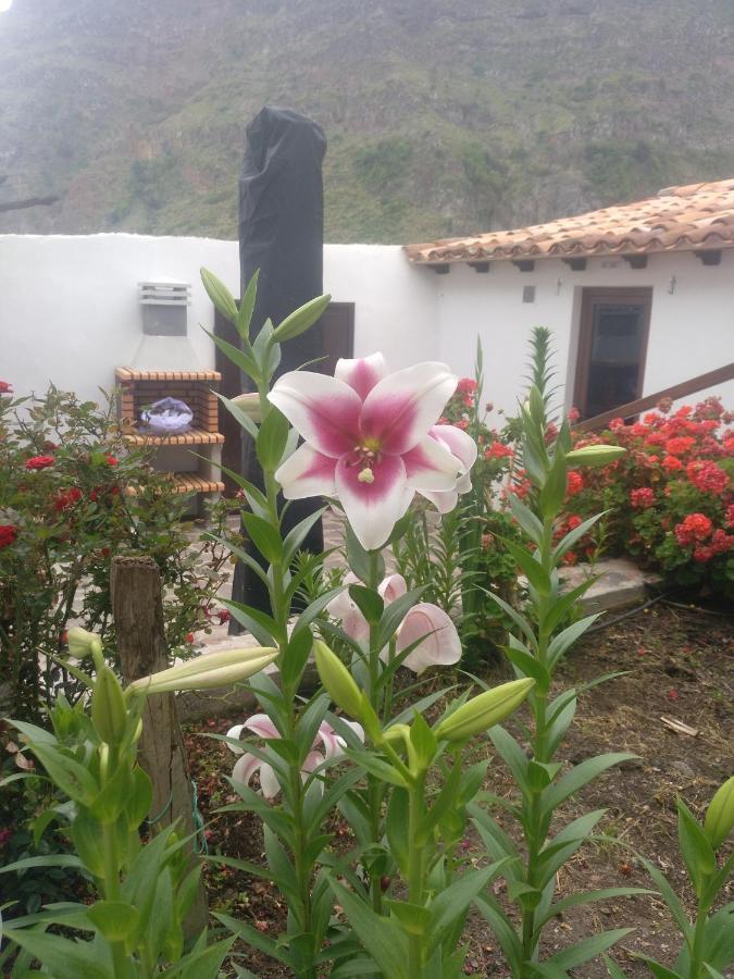 Casa La Plaza Villa Agulo Dış mekan fotoğraf